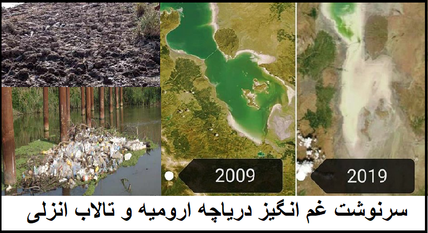 جمهوری اسلامی دشمن انسان ها، جانوران و گیاهان 